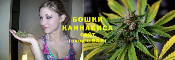 СК Гусь-Хрустальный
