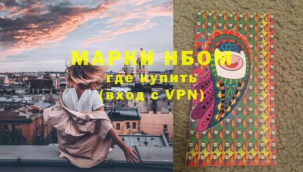 молекула духа Козловка