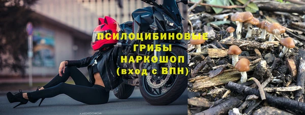 PSILOCYBIN Гусиноозёрск