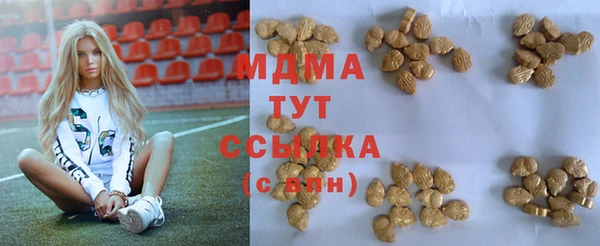 PSILOCYBIN Гусиноозёрск