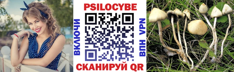 Купить закладки  Закаменск  Галлюциногенные грибы Magic Shrooms 
